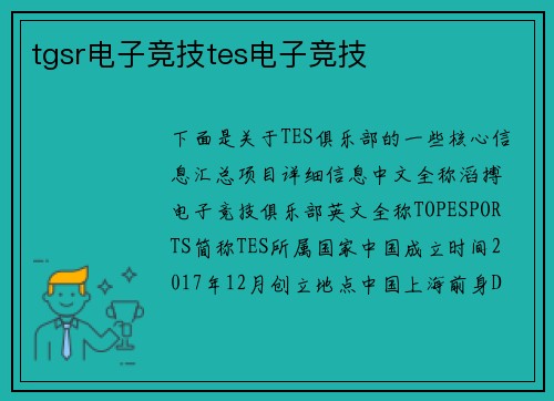 tgsr电子竞技tes电子竞技